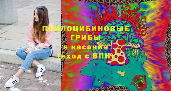 амф Аркадак