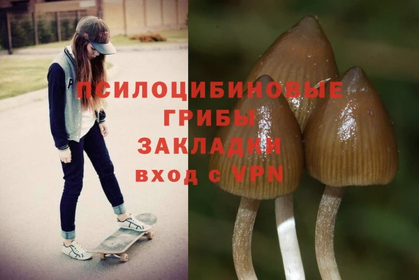 амф Аркадак