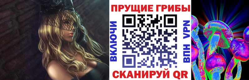 blacksprut сайт  Мамадыш  Галлюциногенные грибы Cubensis  дарнет шоп 